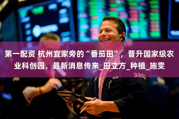 第一配资 杭州宜家旁的“番茄田”，晋升国家级农业科创园，最新消息传来_田立方_种植_施雯