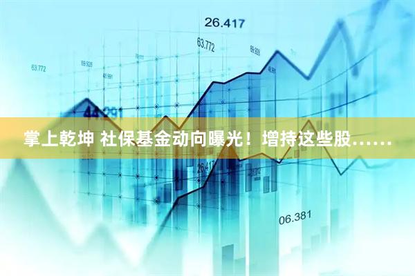 掌上乾坤 社保基金动向曝光！增持这些股……