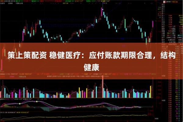策上策配资 稳健医疗：应付账款期限合理，结构健康