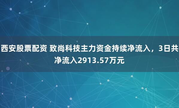 西安股票配资 致尚科技主力资金持续净流入，3日共净流入2913.57万元