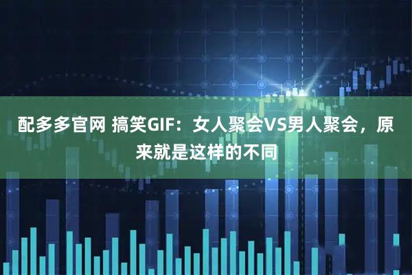 配多多官网 搞笑GIF：女人聚会VS男人聚会，原来就是这样的不同